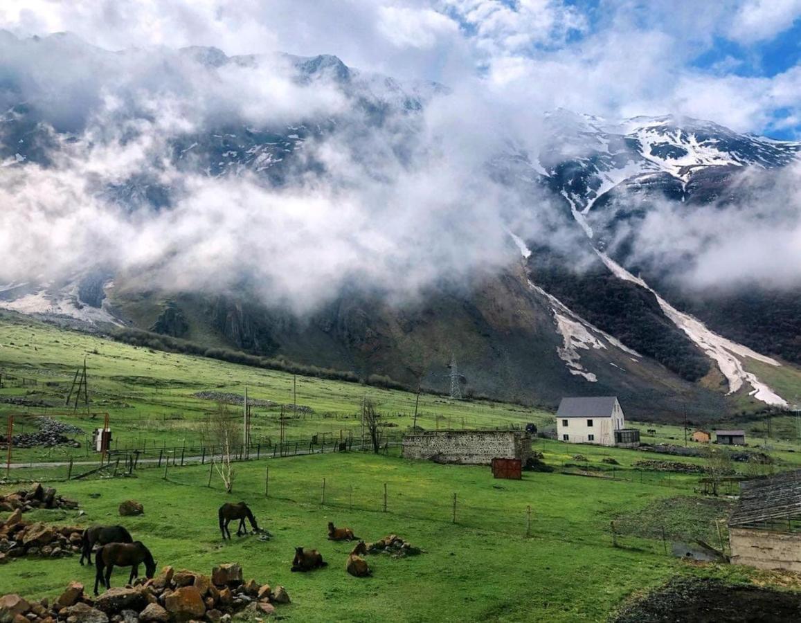 Hotel Arte In Kazbegi Esterno foto